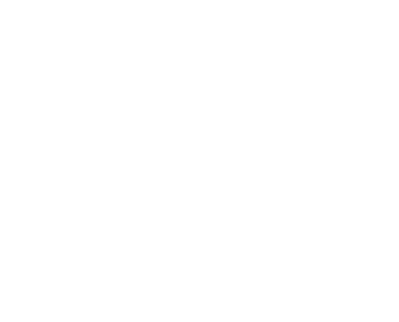 Groundhopping Tours er medlem af rejsegarantifonden - medlemsnummer 2878